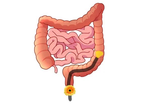 1692436382681888.jpg 640.jpg